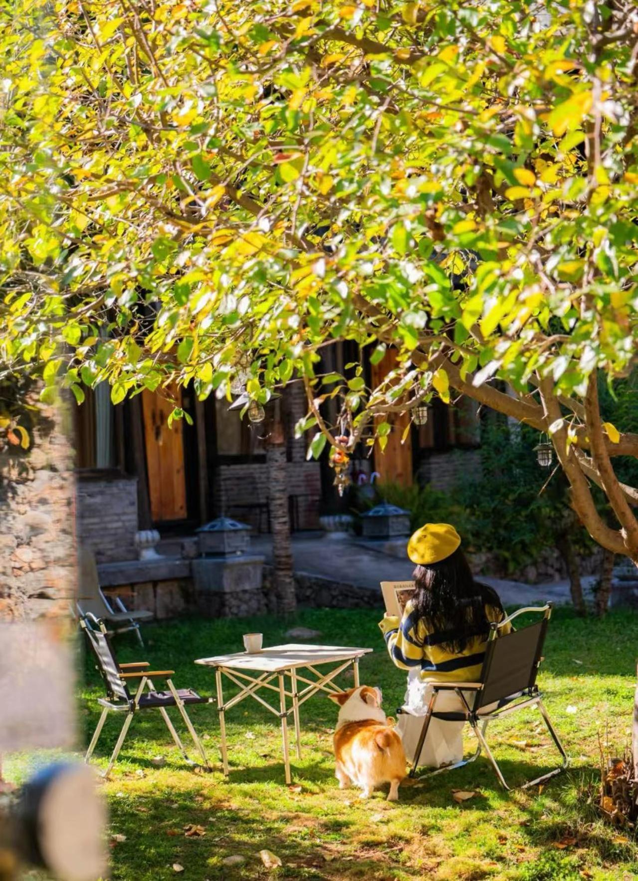 Adonis Inn Lijiang Ліцзян Екстер'єр фото